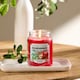 image 3 of Yankee Candle HI Mistletoe Charm Large Jar 538g 
