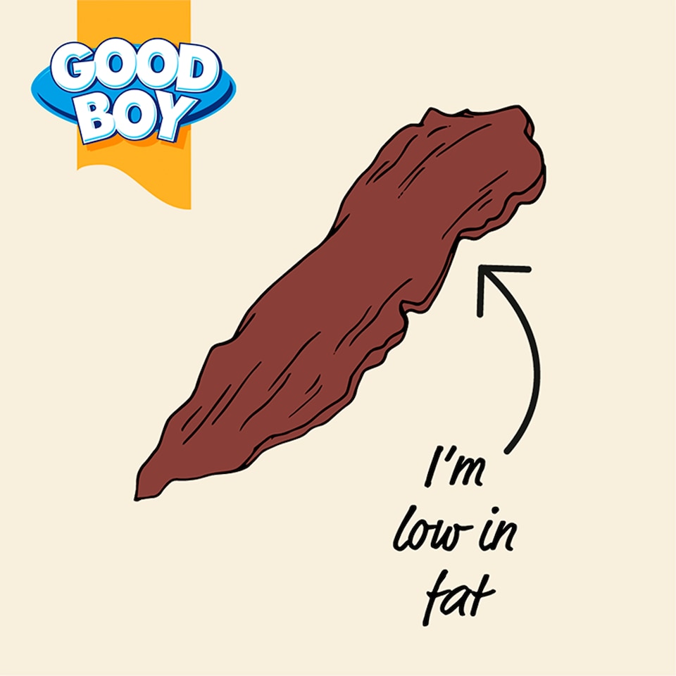 image 1 of Wagtastic Chewy Duck Fillets Dog Chew Treats 70G