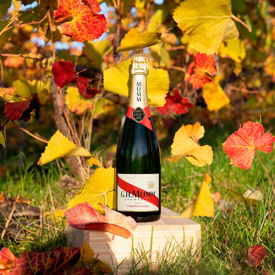 image 1 of G.H. Mumm Champagne Brut Cordon Rouge 75cl