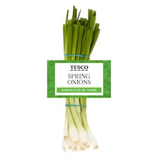Tesco Bunched Spring Onions 100G (C)