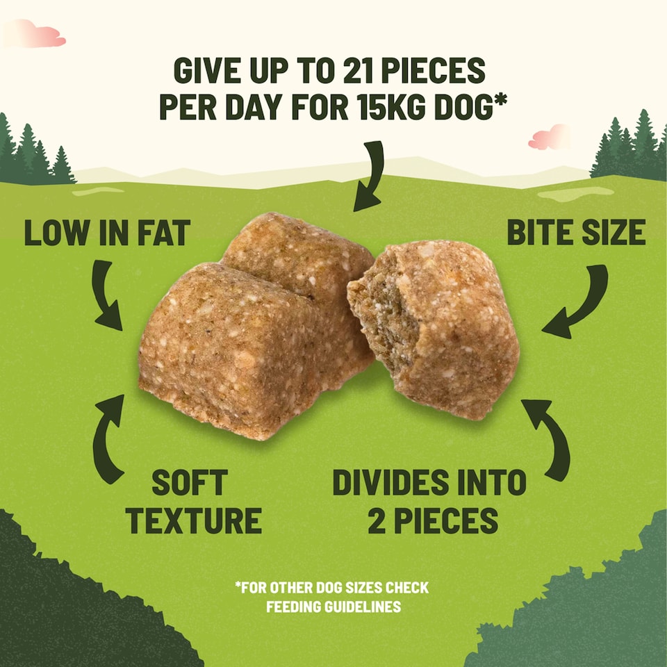 image 1 of Adventuros Salmon Training Dog Treats 115g