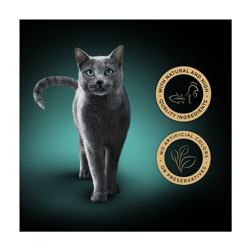 image 1 of Sheba Fillets Wet Cat Food Tray with Chicken & Tuna in Gravy 60g
