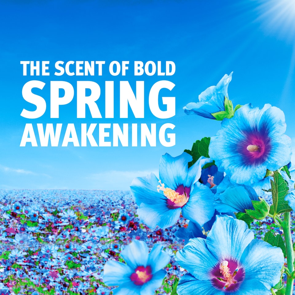 image 1 of Bold All in One Washing Liquid Pods Spring Awakening 51 washes 999.6g