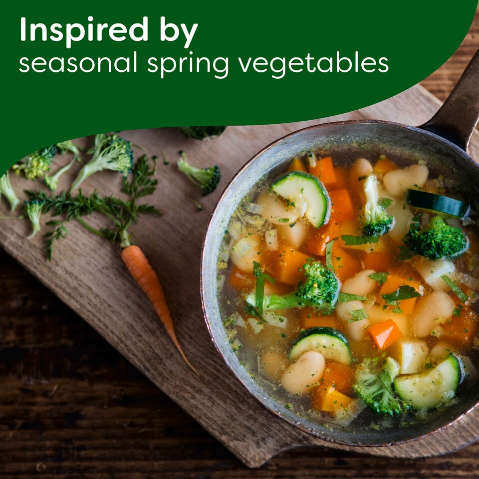 image 1 of Knorr Spring Vegetable Dry Soup 48G