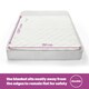 image 5 of SILENTNIGHT TEDDY ELECTRIC BLANKET DB