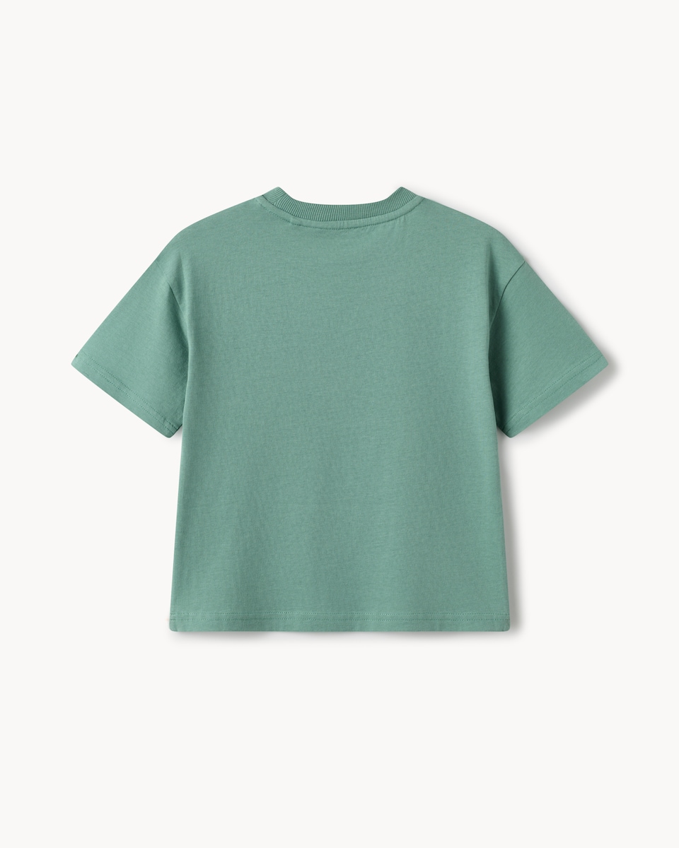 image 1 of F&F Boys Pure Cotton Dinosaur T-Shirt in Teal