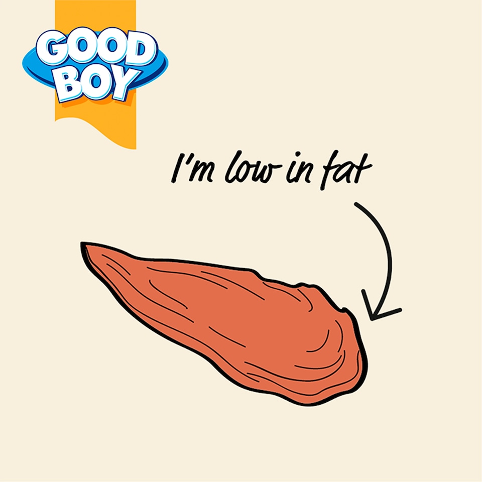 image 1 of Good Boy Meat Treat Chicken Breast Dog Treats 70G