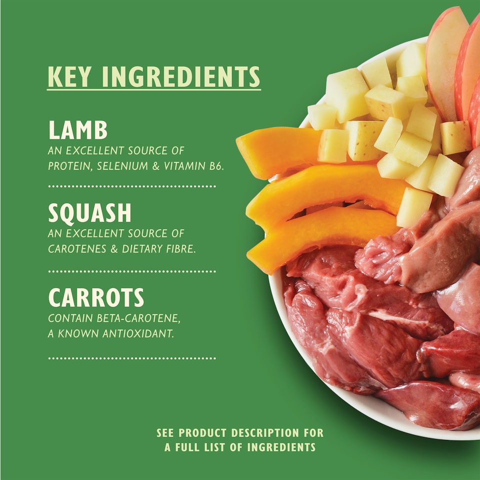 image 1 of Lily's Kitchen Lamb Hotpot with Potatoes, Squash & Carrots for Dogs 150g