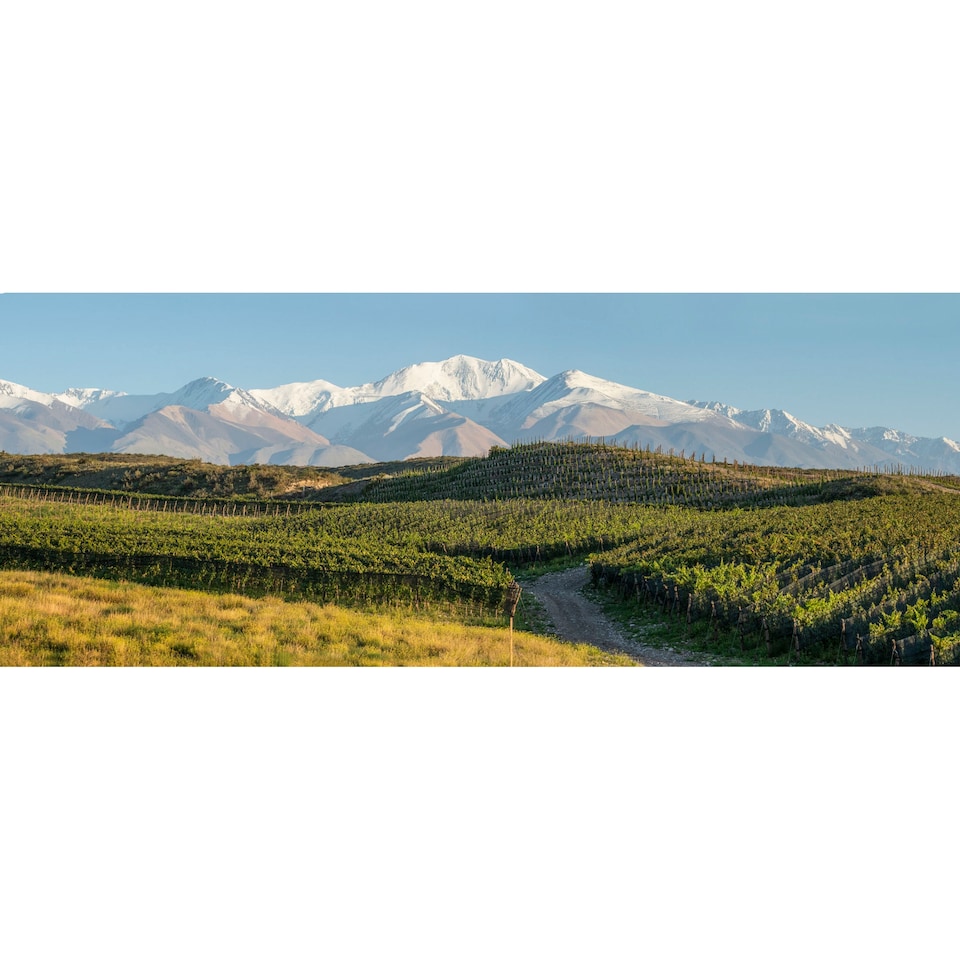 image 1 of Zuccardi Brazos Malbec 75cl