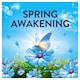 image 5 of Lenor In-Wash Scent Booster Spring Awakening 425g