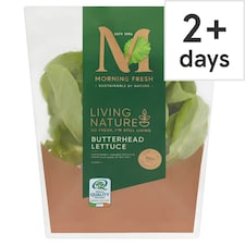 Morning Fresh Living Nature Butterhead Lettuce