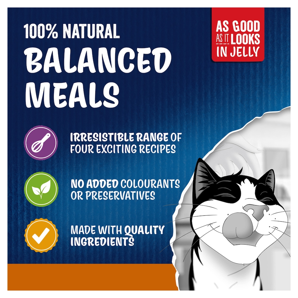 image 1 of Felix As Good As it Looks Meaty Selection in Jelly Wet Cat Food 12x85g