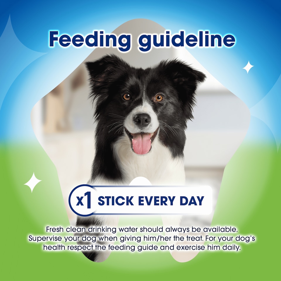 image 1 of DENTALIFE ActivFresh Small Dental Chicken Dog Chews 7 Sticks