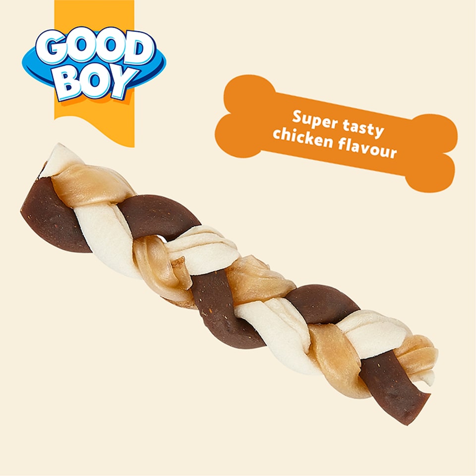 image 1 of Good Boy Wagtastic Large Chewy Braid 80G
