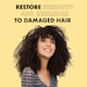image 4 of Shea Moisture Jamaican Black Castor Oil Shampoo 473Ml