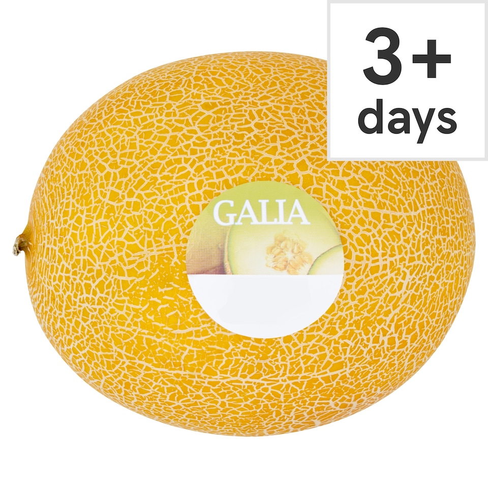 Tesco Galia Melon Each