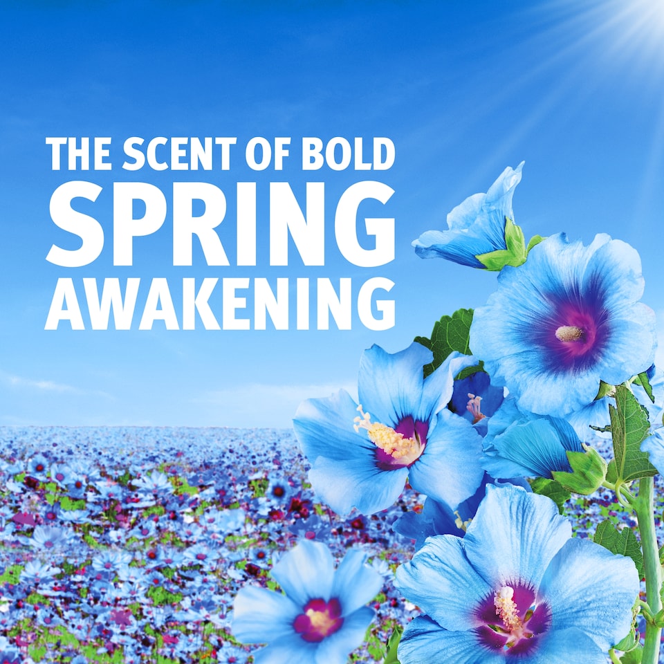 image 1 of Bold Washing Liquid Spring Awakening 72 Washes 2232ml