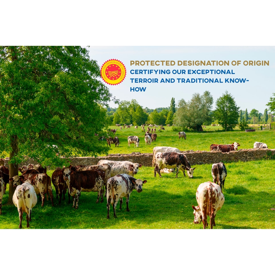 image 1 of Isigny Pont-l'Eveque Cheese 220g