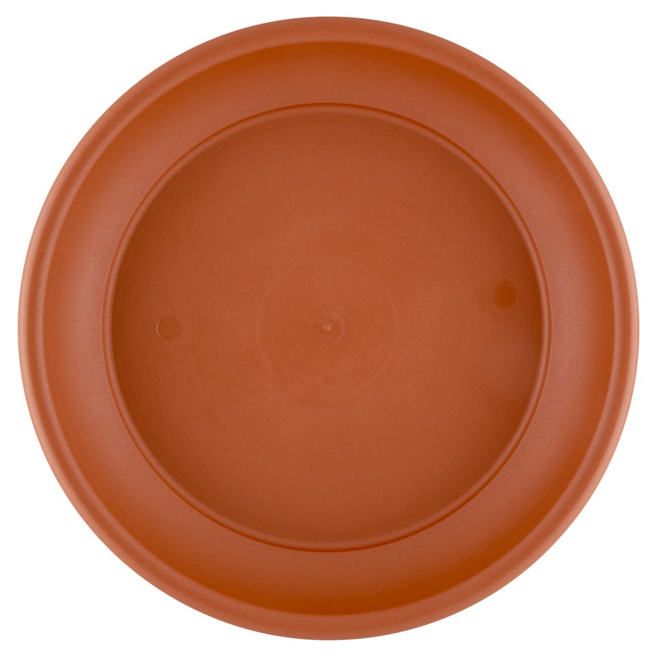 Flair Plastic Tray Sydney 30