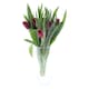 image 1 of Tesco Bouquet of Tulips 15 Stems