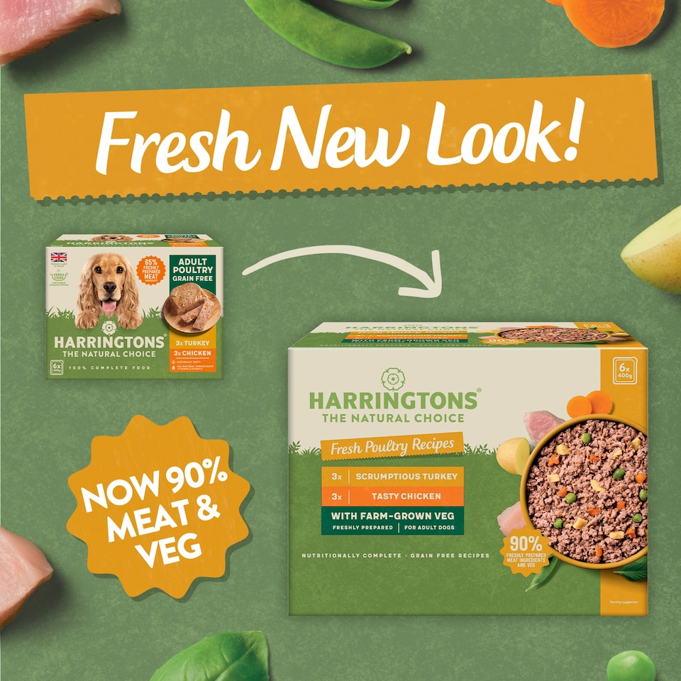 image 1 of Harringtons Poultry Selection Box Dog Food 6X400g
