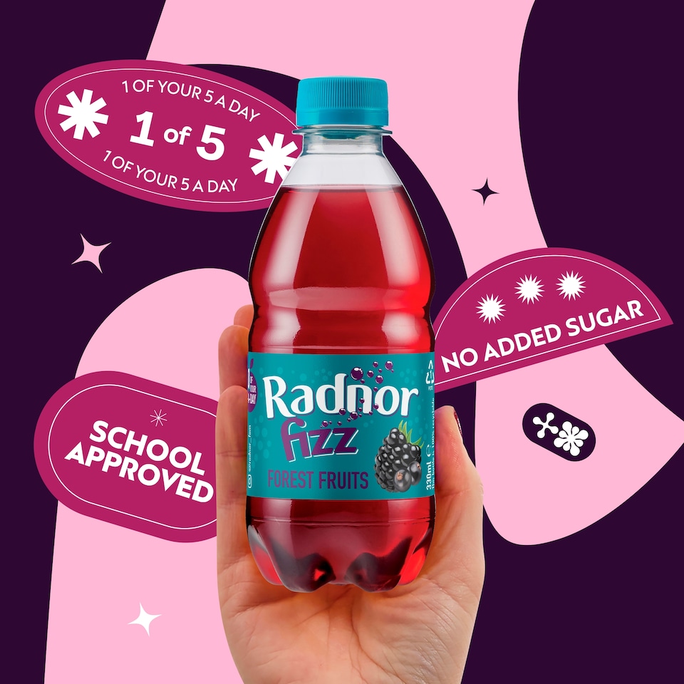 image 1 of Radnor Fizz Forest Fruits 4x330ml