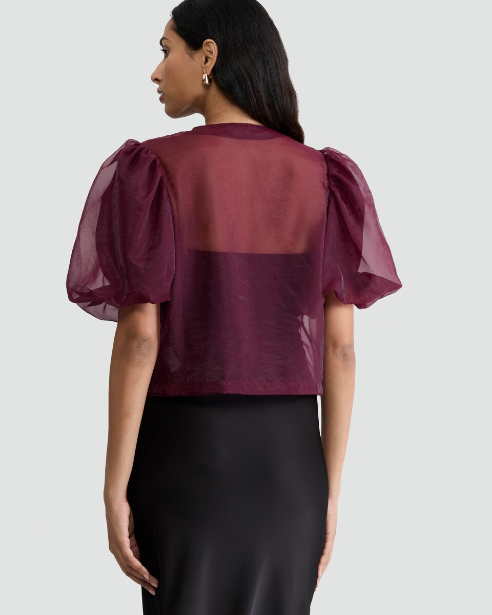 image 1 of F&F Sheer Puff Sleeved Bow Front Blouse in Burgundy