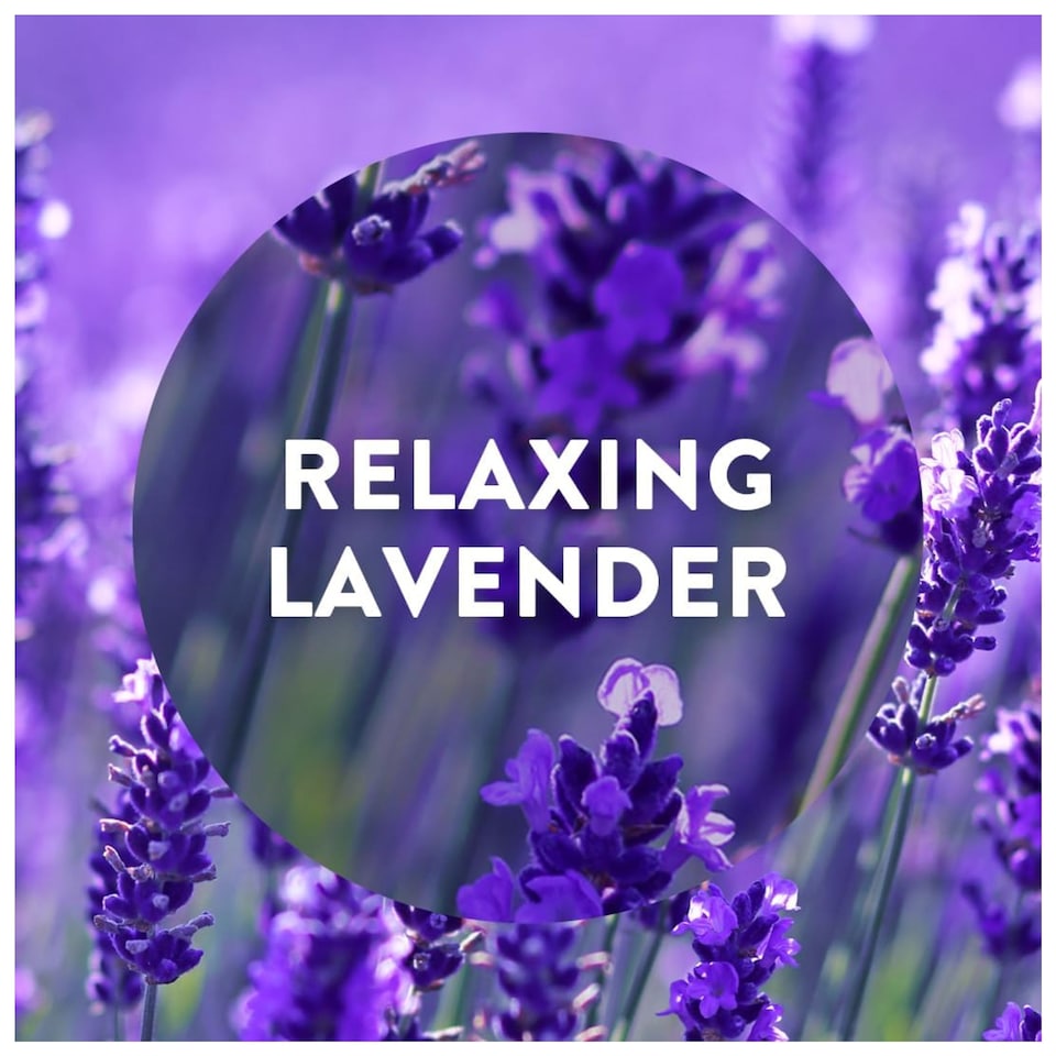 image 1 of Air Wick Freshmatic Refill Purple Lavender Meadow Air Freshener 250ml