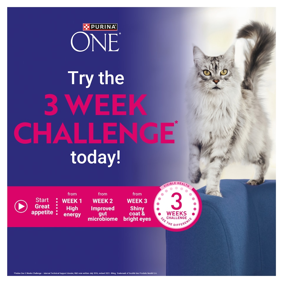 image 1 of PURINA ONE Mini Fillets Chicken and Beef Wet Cat Food 8x85g