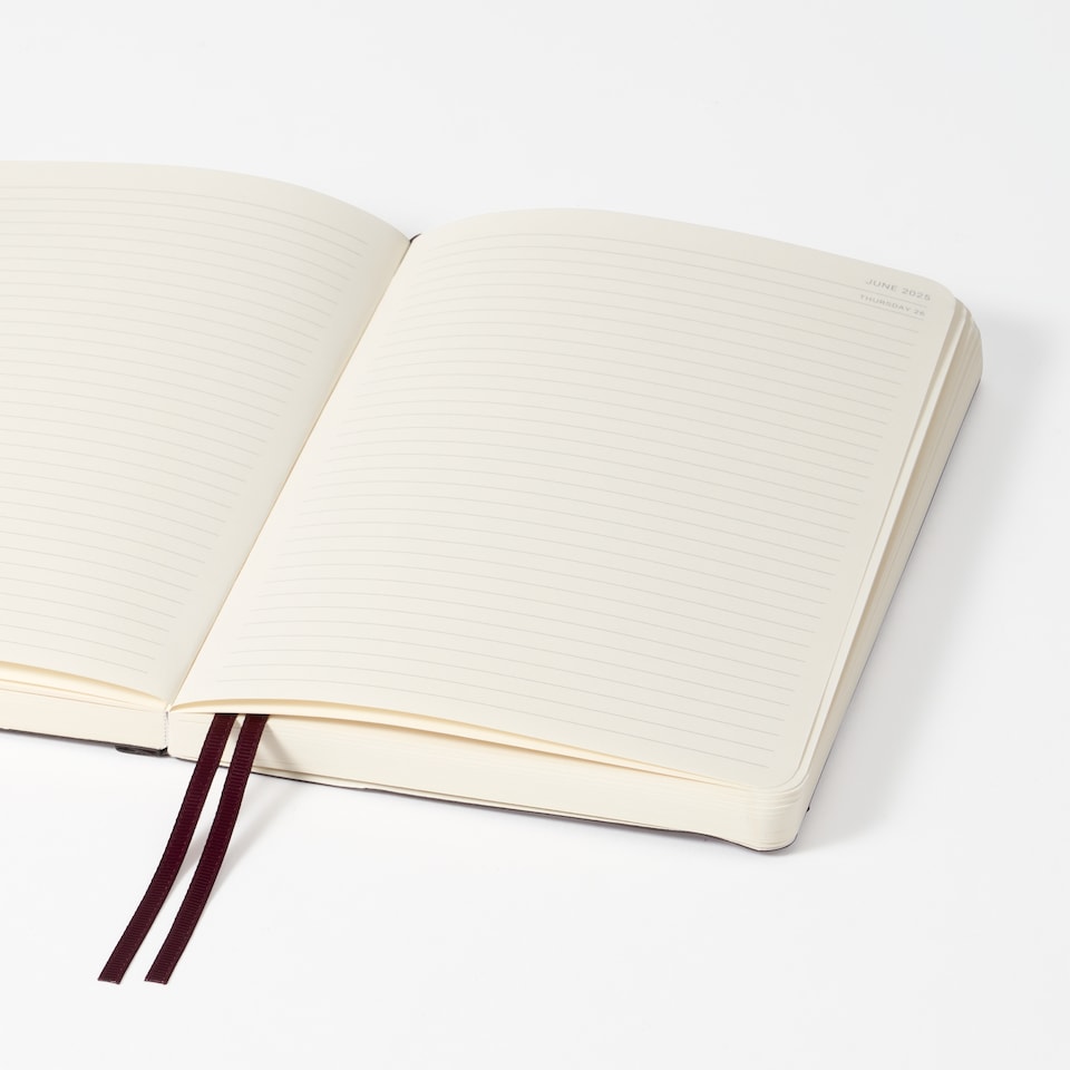 image 1 of Agenzio Soft Touch Medium 2025 Diary Beetroot