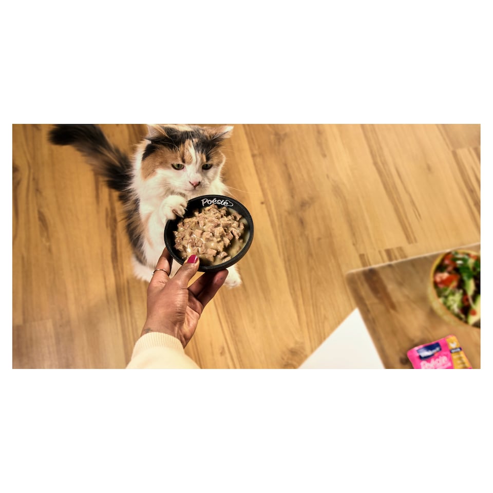 image 1 of Vitakraft Poésie Délice Complete Food for Adult Cats 85 g