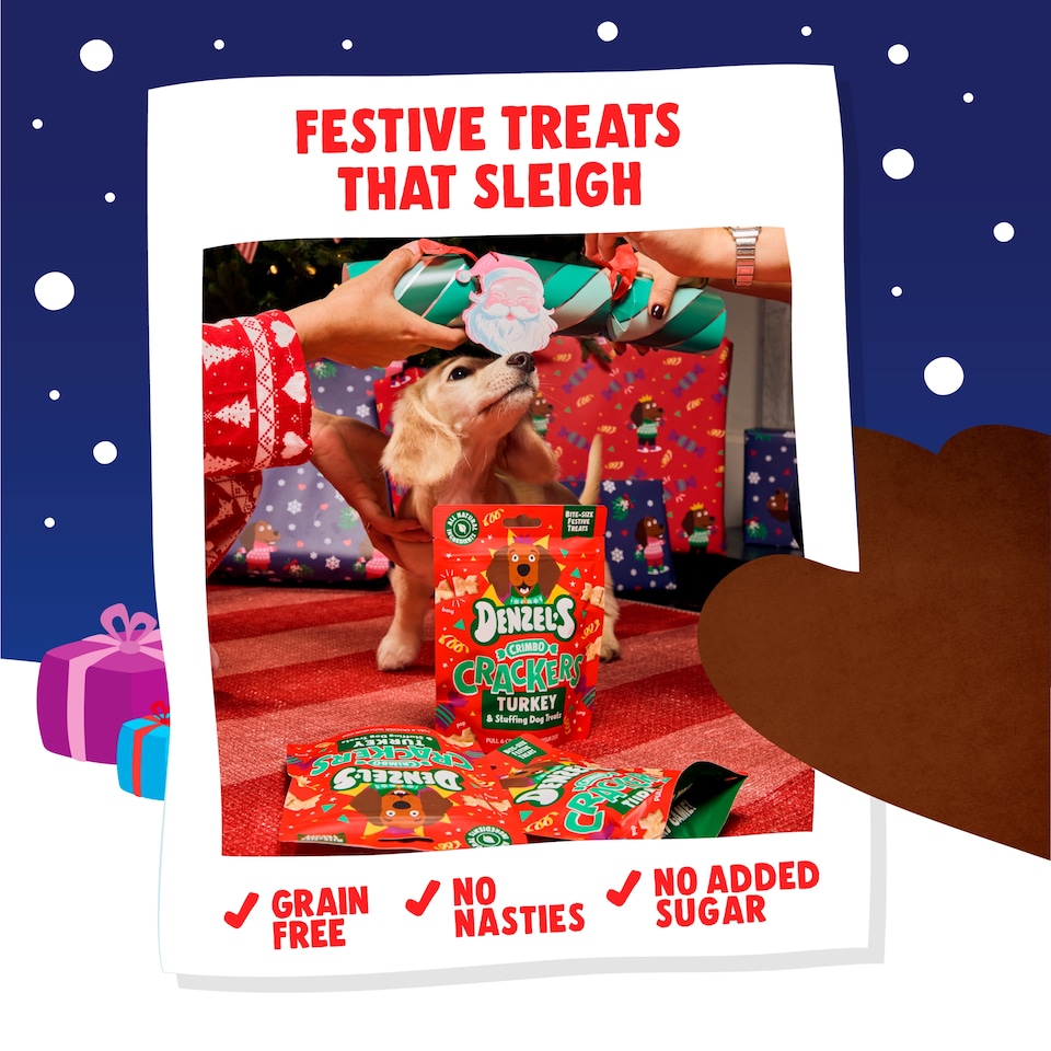 image 1 of Denzel’s Crimbo Crackers: Turkey & Stuffing Dog Treats 90g