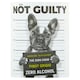 image 2 of Not Guilty Pinot Grigio Zero Alcohol 75Cl