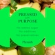 image 3 of Plenish Fibre Dosing Bottle with Ginger, Lime & Mint 7x Shots 420ml