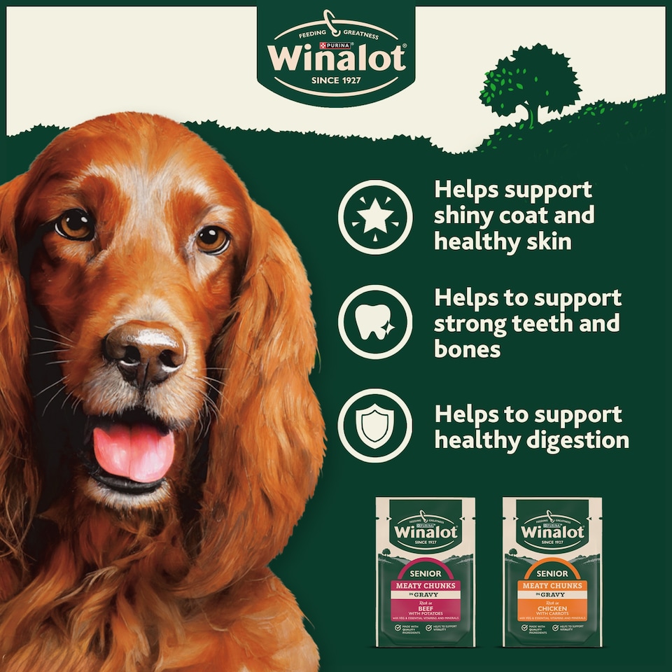image 1 of WINALOT Meaty Chunks Senior Mixed in Gravy Wet Dog Food 12x100g