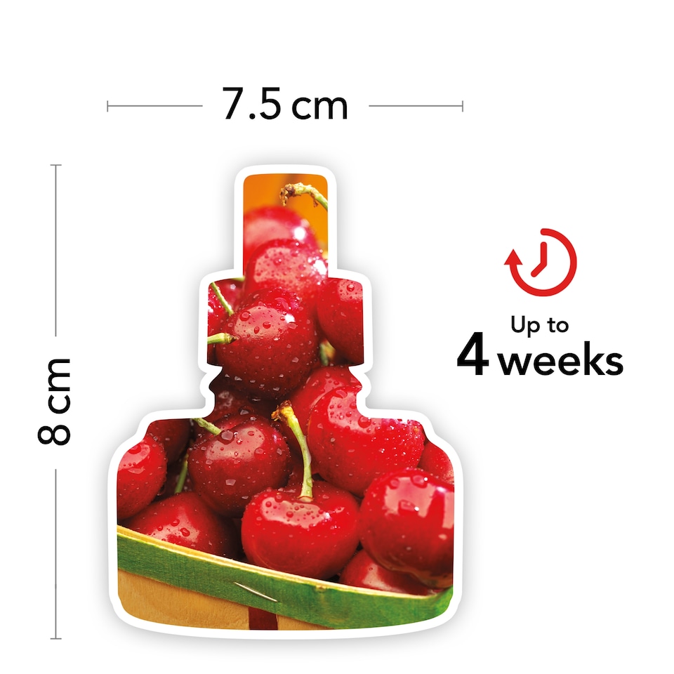 image 1 of Yankee Classic Black Cherry Plug Refill 2X18.5Ml