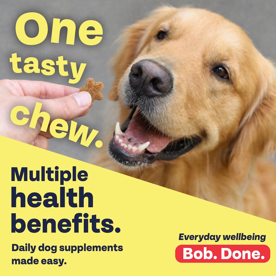 image 1 of Bob Martin Digestive and Oral Care daily Supplements for Dogs 200g