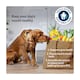 image 2 of Pedigree Dentastix Daily Large Dog Treats 42 Dental Sticks