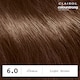 image 6 of CLAIROL COLOUR STRONG PERMANENT HAIR DYE - 6.0 LIGHT BROWN