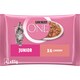 Obrázek 1 pro produkt Purina ONE Junior kapsičky pro koťata losos ve šťávě 4 x 85g