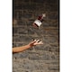 image 3 of St Remy Signature French Brandy 700ml
