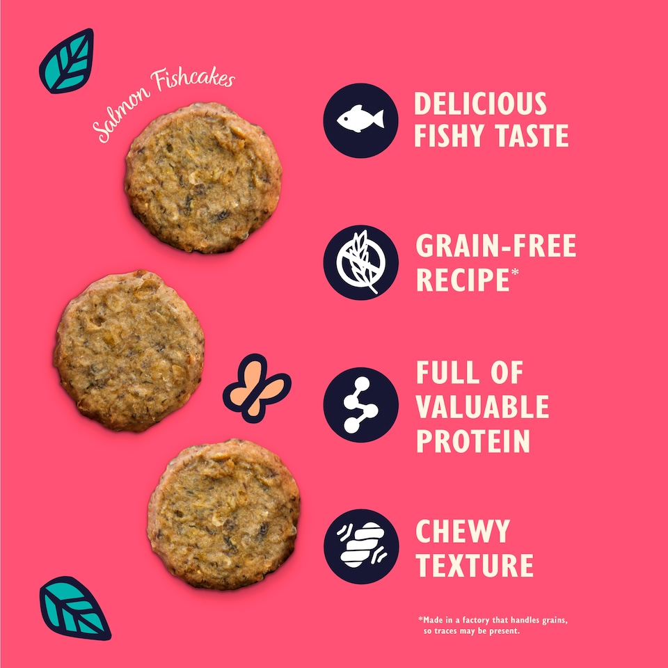 image 1 of Lily's Kitchen Salmon Fishcakes with White Fish for Dogs 70g