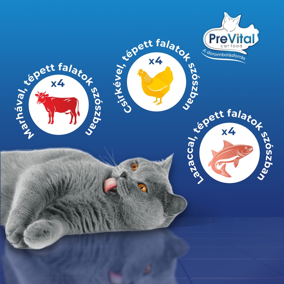 image 1 of PreVital Fillet Selection Wet Cat Food for Adult Cats Pouch 12 x 85 g