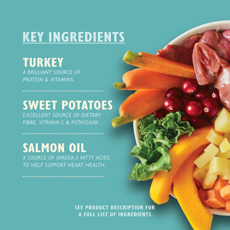 image 1 of Lily's Kitchen Puppy Recipe with Turkey, Duck & Kale Tray 150g
