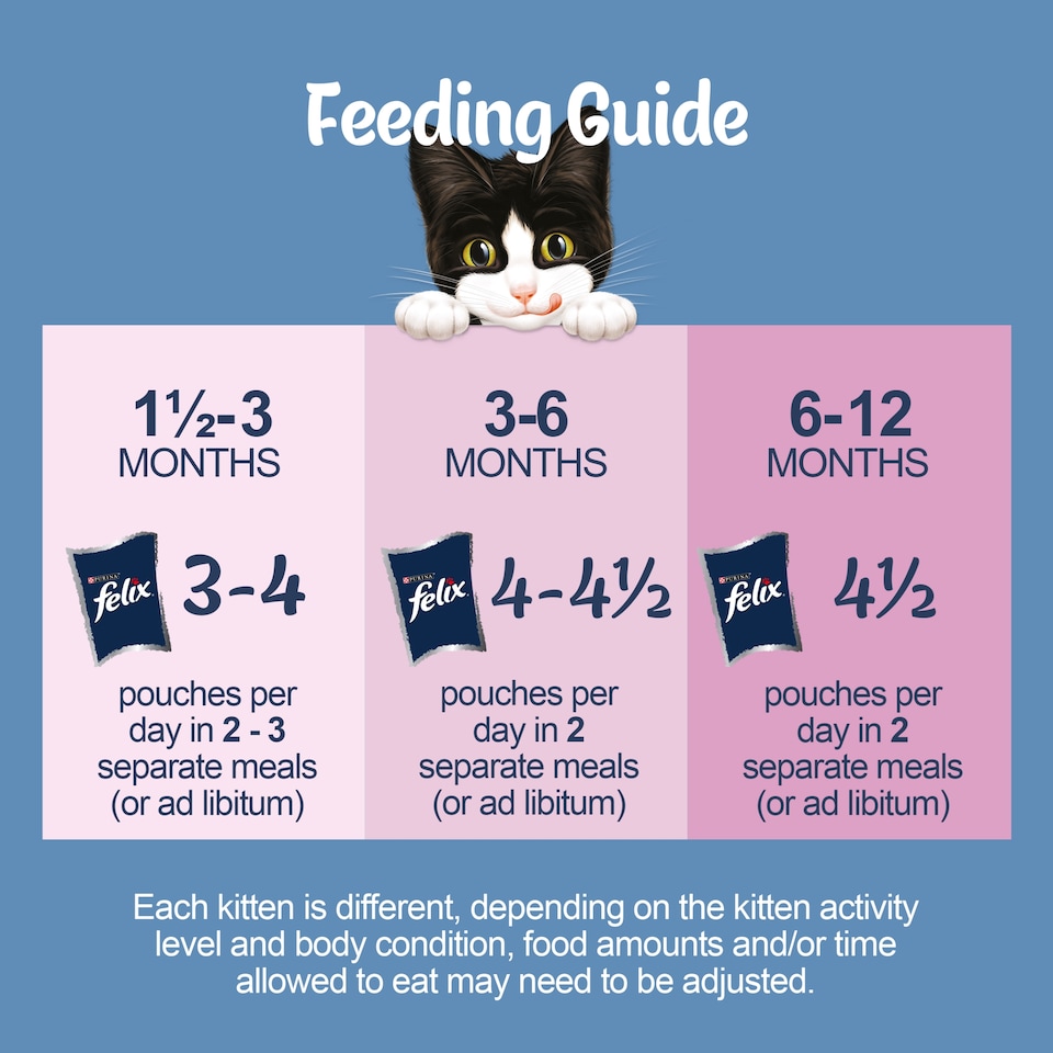image 1 of FELIX ORIGINAL Kitten Mixed Selection in Jelly Wet Cat Food 12x85g