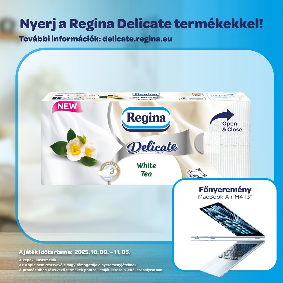 Regina Delicate White Tea Handkerchiefs 3 Ply 90 pcs