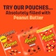 image 4 of Reese's Peanut Butter and Milk Chocolate Dipped Peanuts 90g