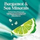 image 4 of Imperial Leather Bergamot & Sea Salt Bath Soak 500Ml