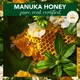 image 3 of Herbal Essences Manuka Honey Shampoo 400Ml