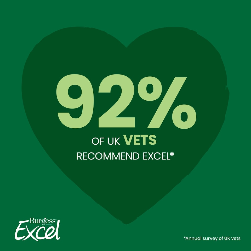 image 1 of Burgess Excel Hedgerow Hearts Treats 60g